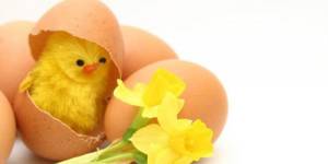 show_fixed_image.php